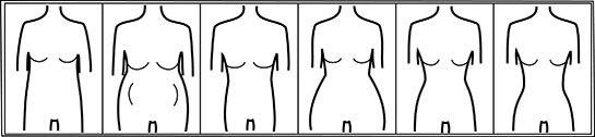 Body Shape - H, O, V, A, S, X