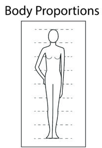 Body Proportions