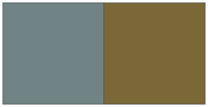 Analyze Color - Best Neutrals