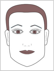 Analyze Design Lines - Face Shape