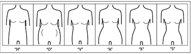 Body Shapes