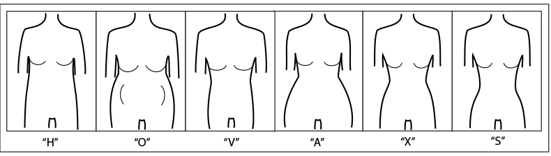 Body Shapes
