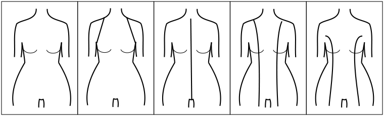A Body Shape Vertical Lines