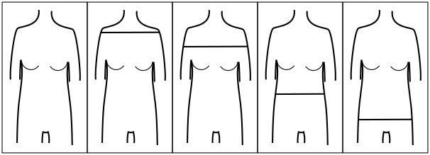 H Body Shape Horizontal Line Placement