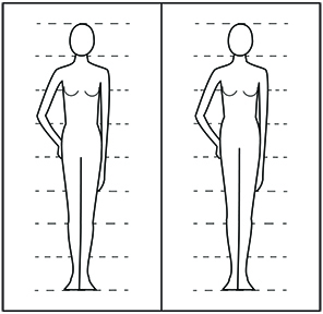 Body Proportions -- The Girls