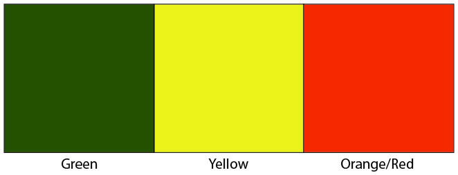 Favorite Colors -- Monica